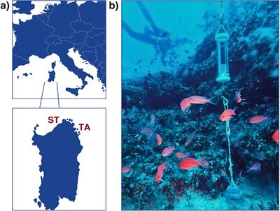 Spatio-temporal patterns of fish acoustic communities in Western Mediterranean coralligenous reefs: optimizing monitoring through recording duration